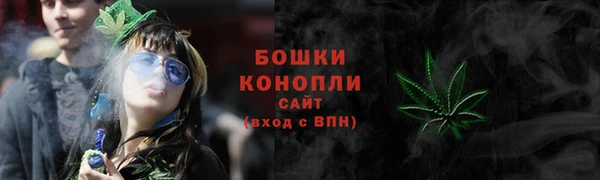 mix Богородицк