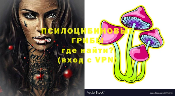 скорость Богданович
