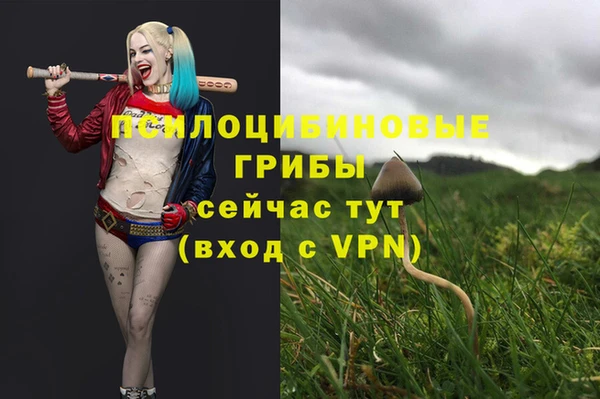 mix Богородицк