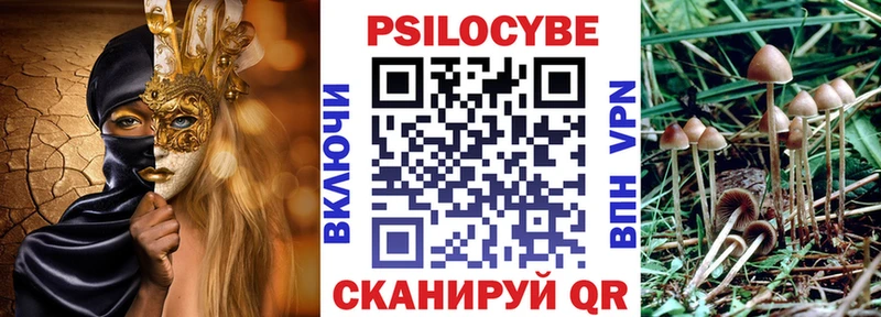 купить наркоту  Бирюсинск  дарк нет телеграм  Галлюциногенные грибы Cubensis 